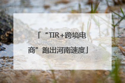 “TIR+跨境电商”跑出河南速度