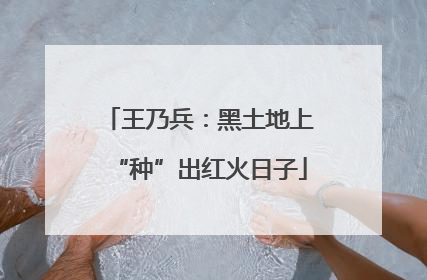 王乃兵：黑土地上“种”出红火日子