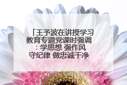 王予波在讲授学习教育专题党课时强调：学思想 强作风 守纪律 做忠诚干净担当的共产党员