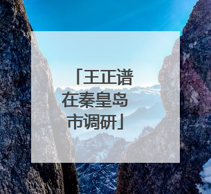 王正谱在秦皇岛市调研