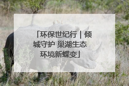 环保世纪行｜倾城守护 巢湖生态环境新蝶变