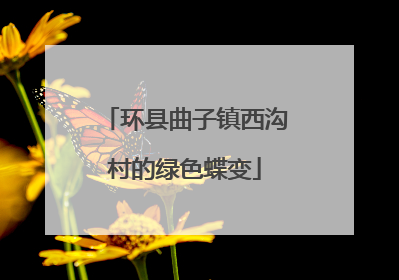 环县曲子镇西沟村的绿色蝶变