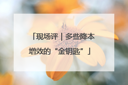 现场评｜多些降本增效的“金钥匙”
