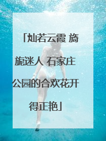 灿若云霞 旖旎迷人 石家庄公园的合欢花开得正艳