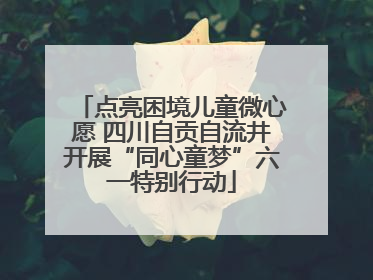 点亮困境儿童微心愿 四川自贡自流井开展“同心童梦”六一特别行动