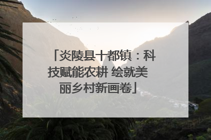 炎陵县十都镇：科技赋能农耕 绘就美丽乡村新画卷
