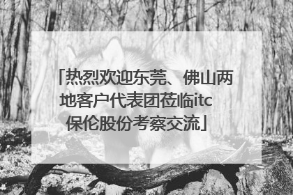 热烈欢迎东莞、佛山两地客户代表团莅临itc保伦股份考察交流