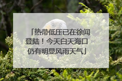 热带低压已在徐闻登陆！今天白天海口仍有明显风雨天气