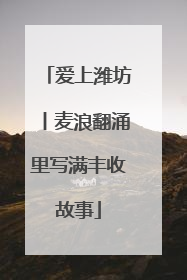 爱上潍坊丨麦浪翻涌里写满丰收故事