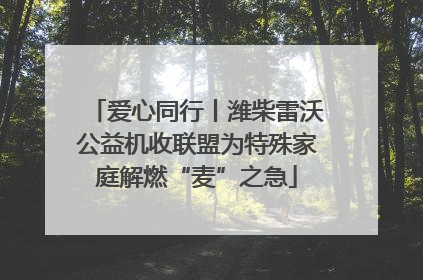 爱心同行丨潍柴雷沃公益机收联盟为特殊家庭解燃“麦”之急