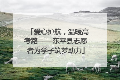 爱心护航，温暖高考路——东平县志愿者为学子筑梦助力
