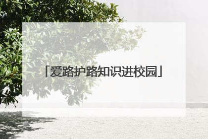 爱路护路知识进校园