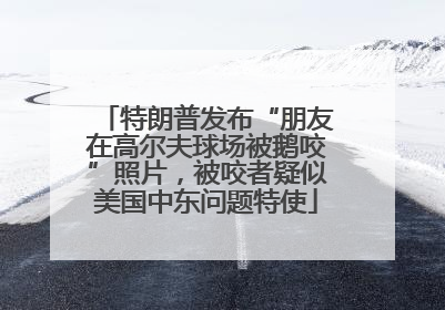 特朗普发布“朋友在高尔夫球场被鹅咬”照片，被咬者疑似美国中东问题特使