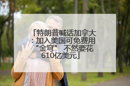 特朗普喊话加拿大：加入美国可免费用“金穹” 不然要花610亿美元