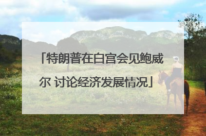 特朗普在白宫会见鲍威尔 讨论经济发展情况