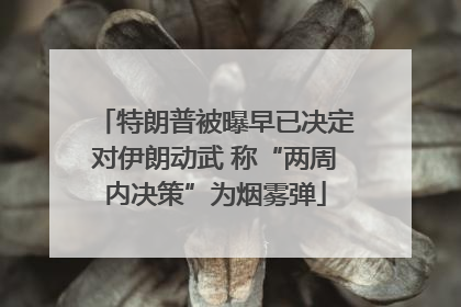 特朗普被曝早已决定对伊朗动武 称“两周内决策”为烟雾弹