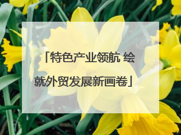 特色产业领航 绘就外贸发展新画卷