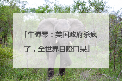 牛弹琴：美国政府杀疯了，全世界目瞪口呆