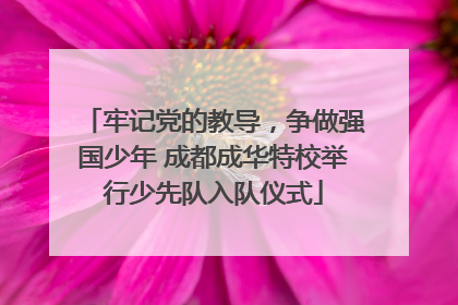 牢记党的教导，争做强国少年 成都成华特校举行少先队入队仪式