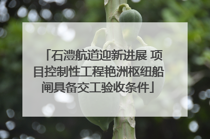 石澧航道迎新进展 项目控制性工程艳洲枢纽船闸具备交工验收条件