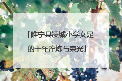 睢宁县凌城小学女足的十年淬炼与荣光