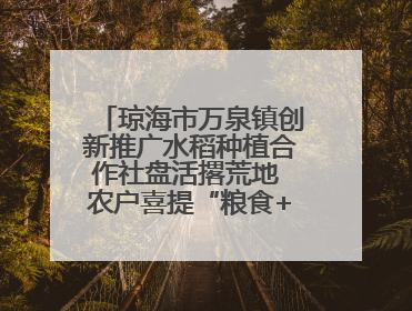 琼海市万泉镇创新推广水稻种植合作社盘活撂荒地 农户喜提“粮食+钞票”分红