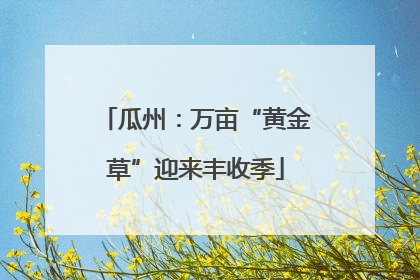 瓜州：万亩“黄金草”迎来丰收季