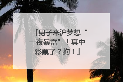 男子来沪梦想“一夜暴富”！真中彩票了？拘！