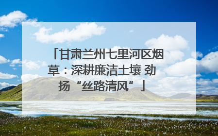 甘肃兰州七里河区烟草：深耕廉洁土壤 劲扬“丝路清风”