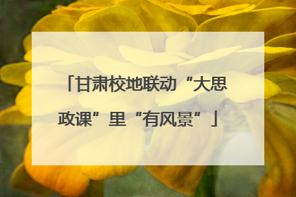 甘肃校地联动“大思政课”里“有风景”