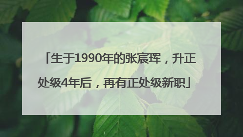 生于1990年的张宸珲，升正处级4年后，再有正处级新职