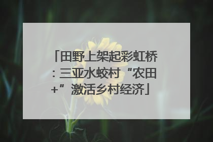 田野上架起彩虹桥：三亚水蛟村“农田+”激活乡村经济