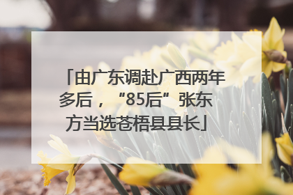 由广东调赴广西两年多后，“85后”张东方当选苍梧县县长