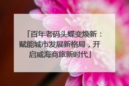 百年老码头蝶变焕新：赋能城市发展新格局，开启威海商旅新时代