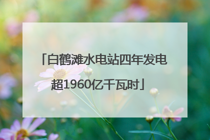 白鹤滩水电站四年发电超1960亿千瓦时