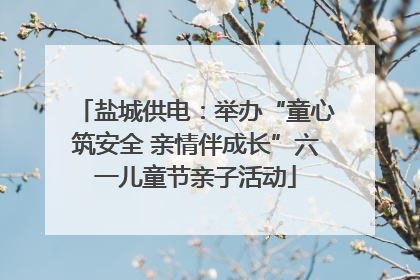 盐城供电：举办“童心筑安全 亲情伴成长”六一儿童节亲子活动