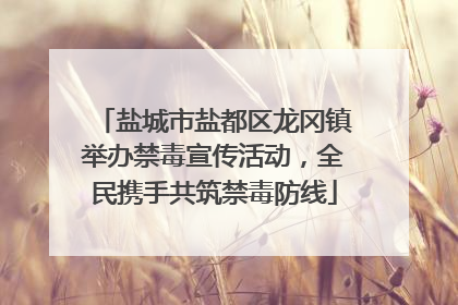 盐城市盐都区龙冈镇举办禁毒宣传活动，全民携手共筑禁毒防线