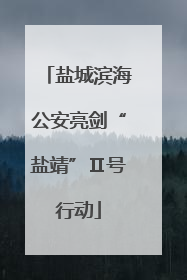 盐城滨海公安亮剑“盐靖”Ⅱ号行动