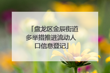 盘龙区金辰街道多举措推进流动人口信息登记