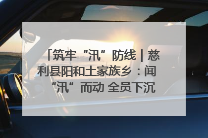 筑牢“汛”防线｜慈利县阳和土家族乡：闻“汛”而动 全员下沉筑牢防汛“安全堤”