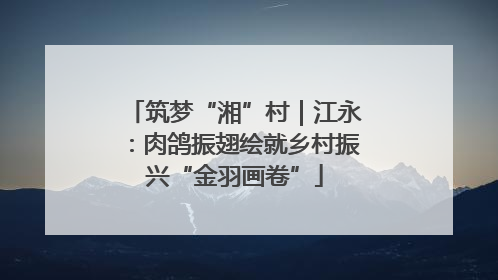 筑梦“湘”村｜江永：肉鸽振翅绘就乡村振兴“金羽画卷”