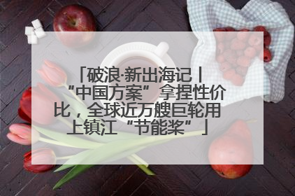 破浪·新出海记丨 “中国方案”拿捏性价比，全球近万艘巨轮用上镇江“节能桨”