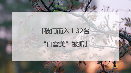 破门而入！32名“白富美”被抓