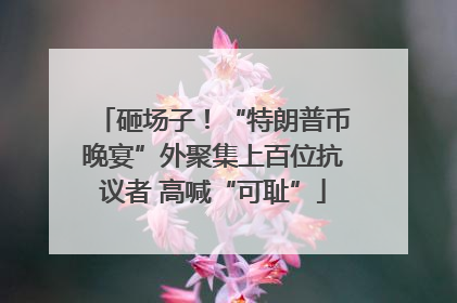 砸场子！“特朗普币晚宴”外聚集上百位抗议者 高喊“可耻”