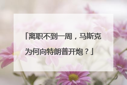 离职不到一周，马斯克为何向特朗普开炮？