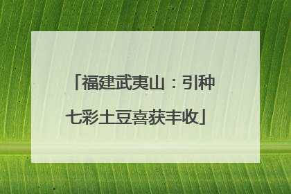 福建武夷山：引种七彩土豆喜获丰收