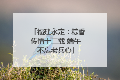 福建永定：粽香传情十二载 端午不忘老兵心