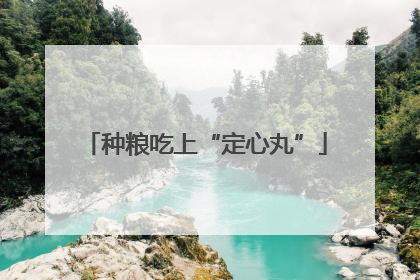 种粮吃上“定心丸”