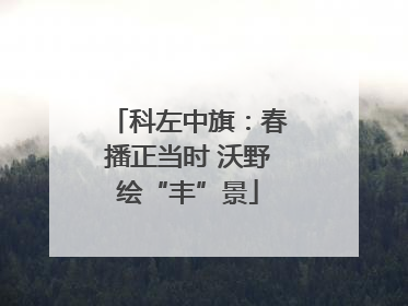 科左中旗：春播正当时 沃野绘“丰”景