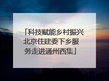 科技赋能乡村振兴 北京住建委下乡服务走进通州西集